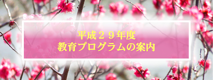 平成29年度プログラム